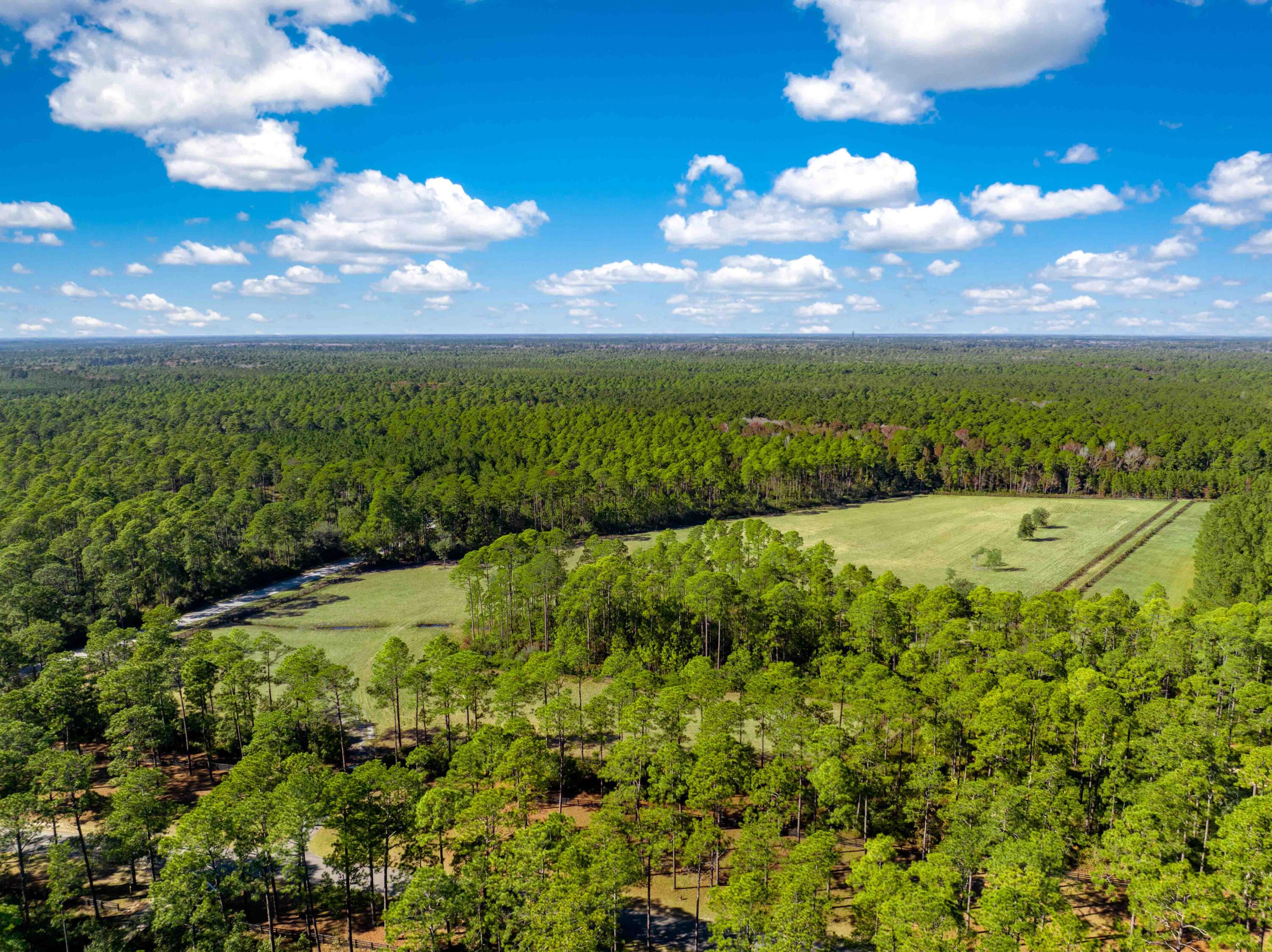 44 Camp 8 Road Bluffton, SC 29910 - Photo 7 of 51 1