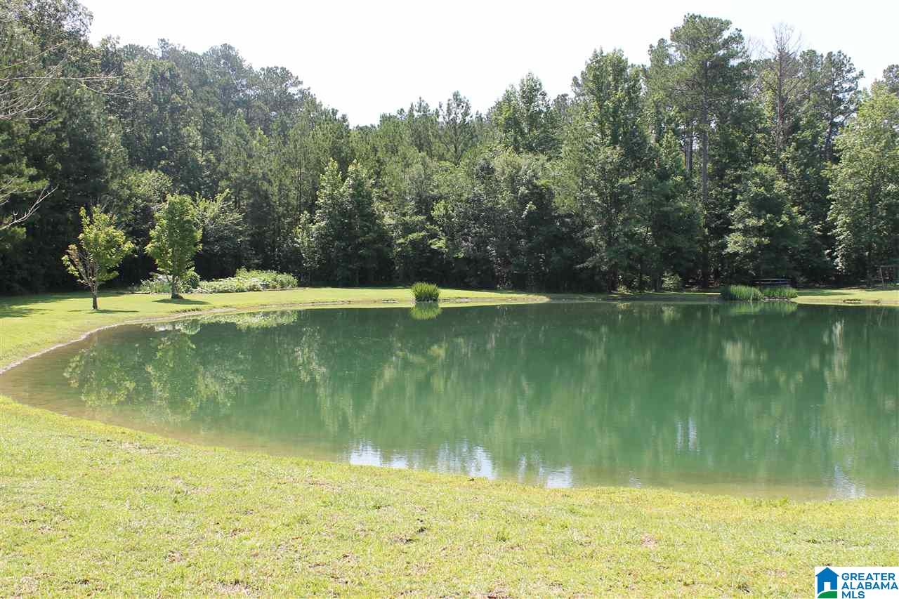 545 Lovejoy Road Ashville, AL 35953 - Photo 40 of 44