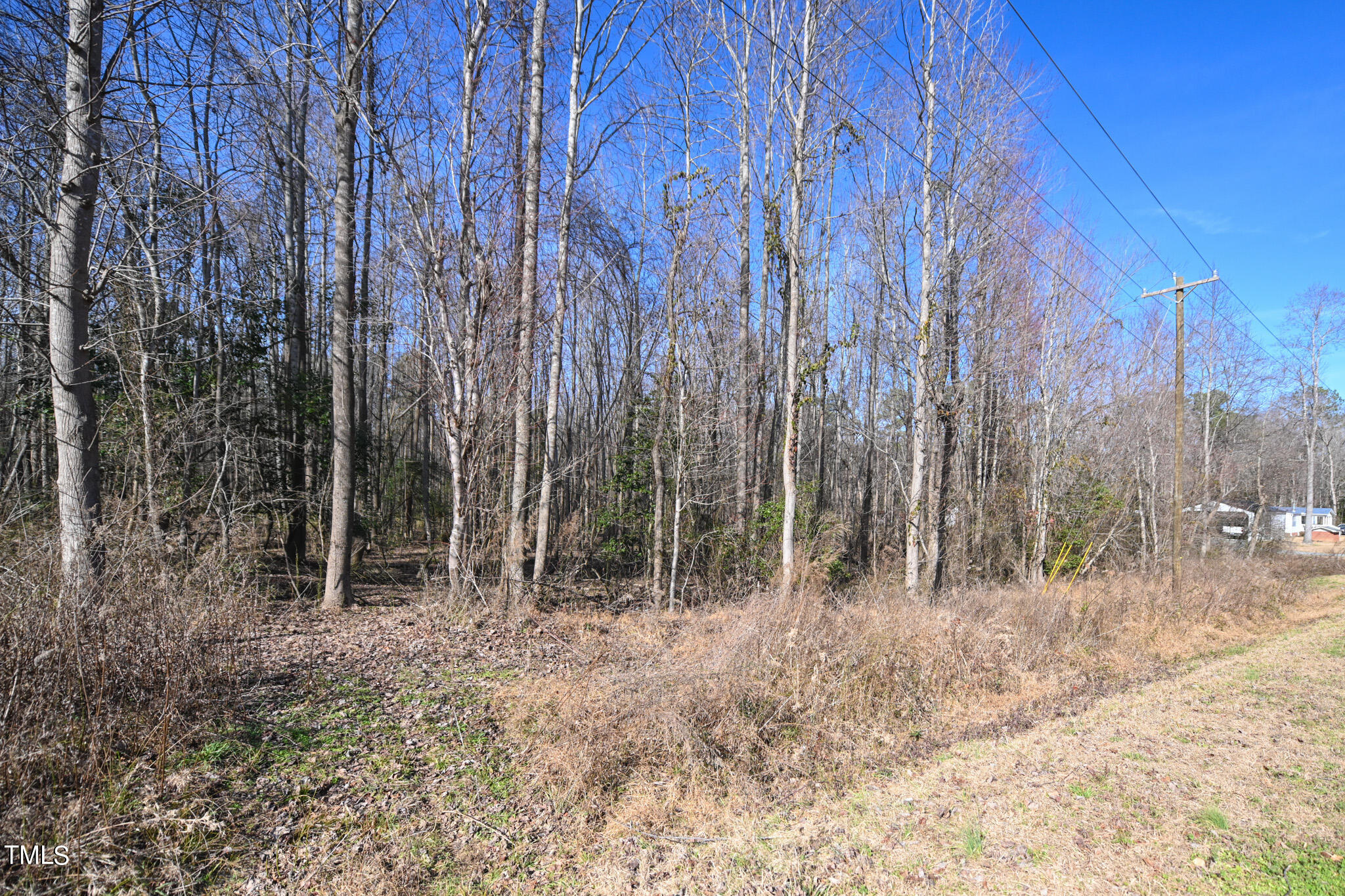 Tract B Lynch Road Selma, NC 27576 - Photo 1 of 4 DSC_9780