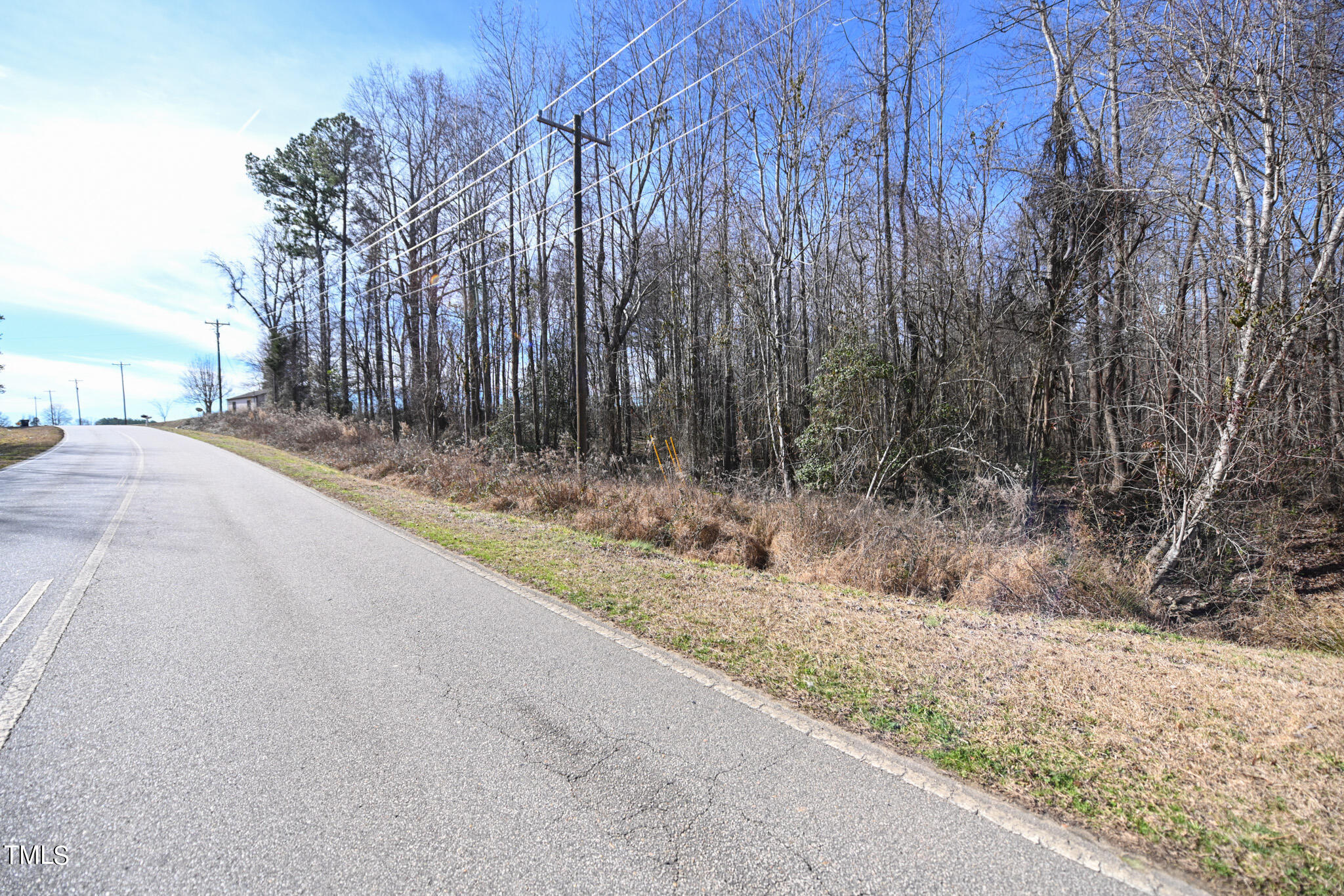 Tract B Lynch Road Selma, NC 27576 - Photo 4 of 4 DSC_9779