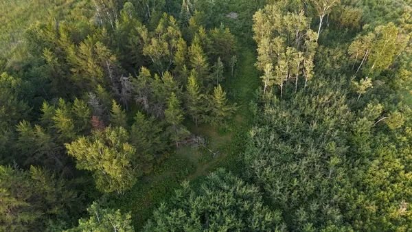 $249,999 | 12031 Highway 64, Nevis, MN 56467