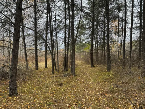 $249,999 | 12031 Highway 64, Nevis, MN 56467