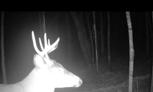 $249,999 | 12031 Highway 64, Nevis, MN 56467