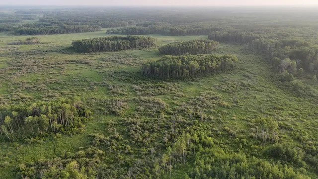 $249,999 | 12031 Highway 64, Nevis, MN 56467