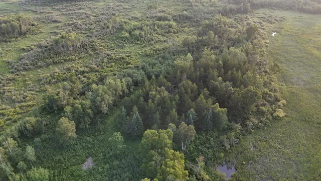 $249,999 | 12031 Highway 64, Nevis, MN 56467