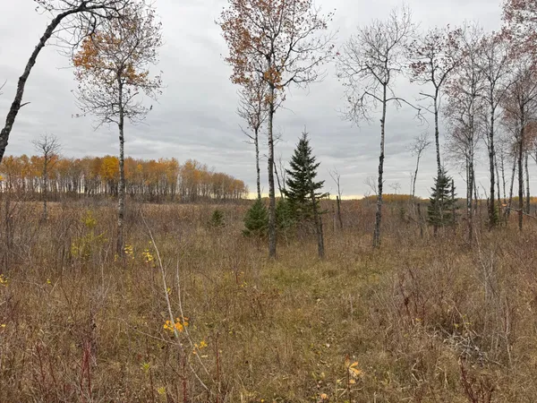 $249,999 | 12031 Highway 64, Nevis, MN 56467