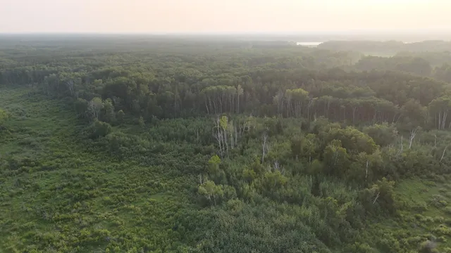 $249,999 | 12031 Highway 64, Nevis, MN 56467