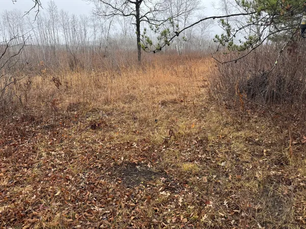 $249,999 | 12031 Highway 64, Nevis, MN 56467