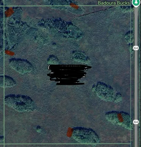 $249,999 | 12031 Highway 64, Nevis, MN 56467