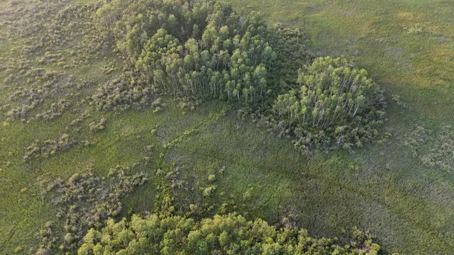 $249,999 | 12031 Highway 64, Nevis, MN 56467