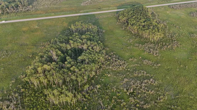 $249,999 | 12031 Highway 64, Nevis, MN 56467