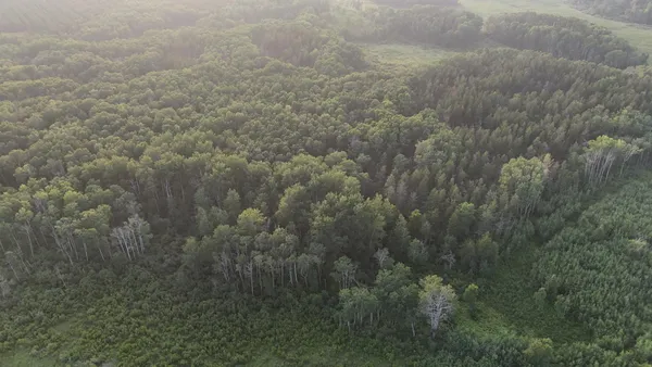 $249,999 | 12031 Highway 64, Nevis, MN 56467