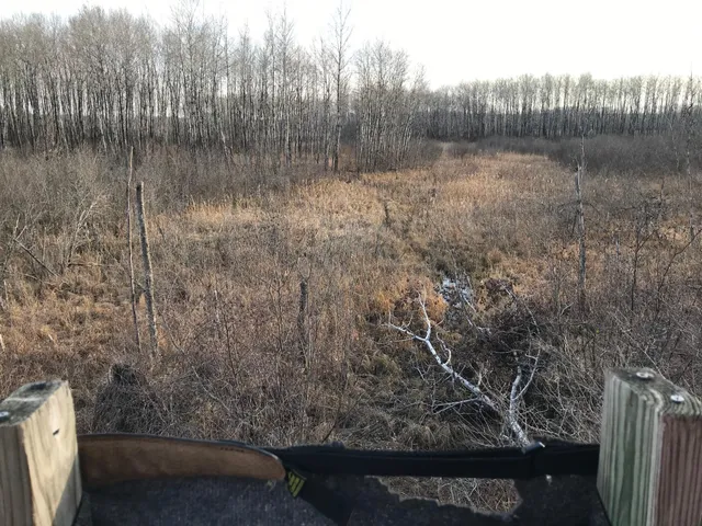 $249,999 | 12031 Highway 64, Nevis, MN 56467