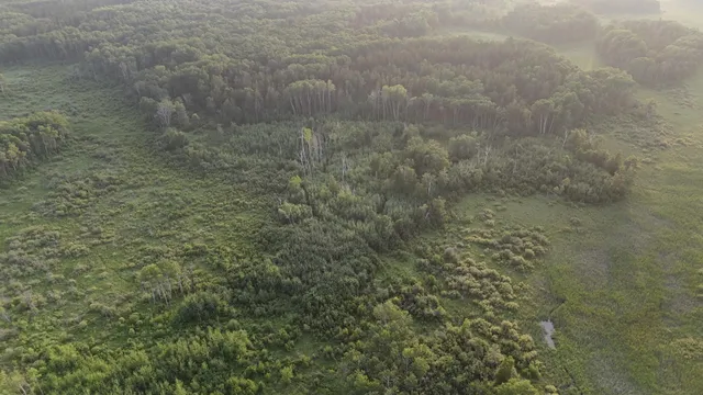 $249,999 | 12031 Highway 64, Nevis, MN 56467