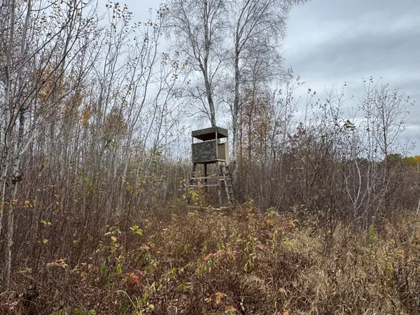 $249,999 | 12031 Highway 64, Nevis, MN 56467