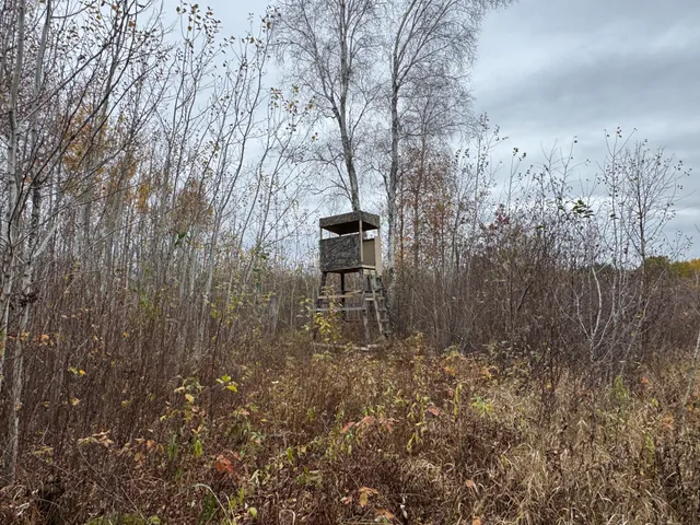 $249,999 | 12031 Highway 64, Nevis, MN 56467