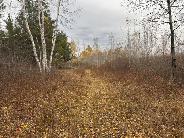 $249,999 | 12031 Highway 64, Nevis, MN 56467