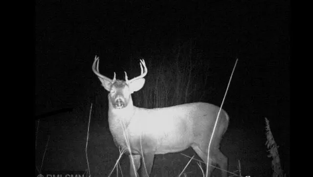 $249,999 | 12031 Highway 64, Nevis, MN 56467