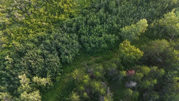 $249,999 | 12031 Highway 64, Nevis, MN 56467