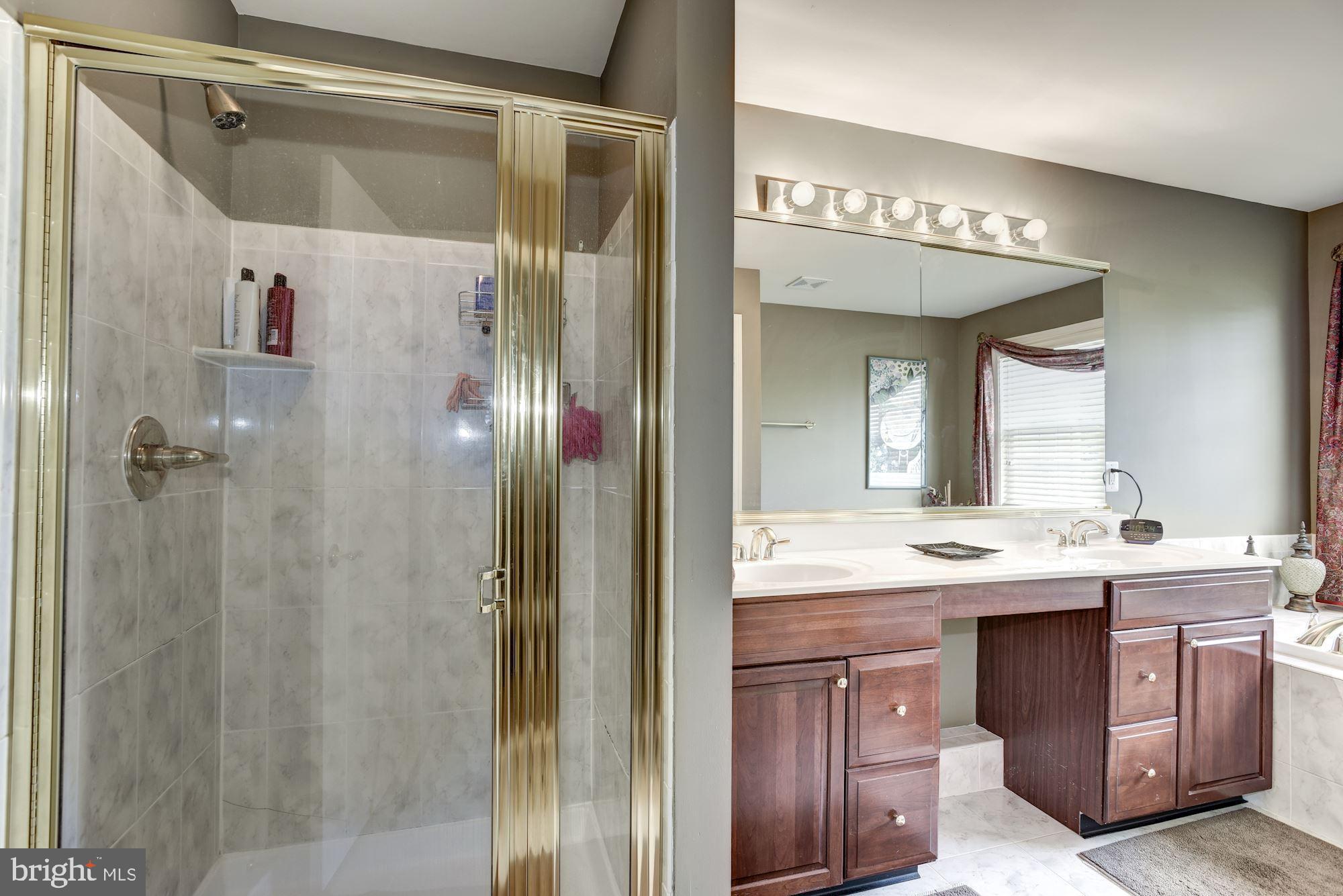 20077 Inverness Square Ashburn, VA 20147 - Photo 14 of 29 Private Luxurious Bath