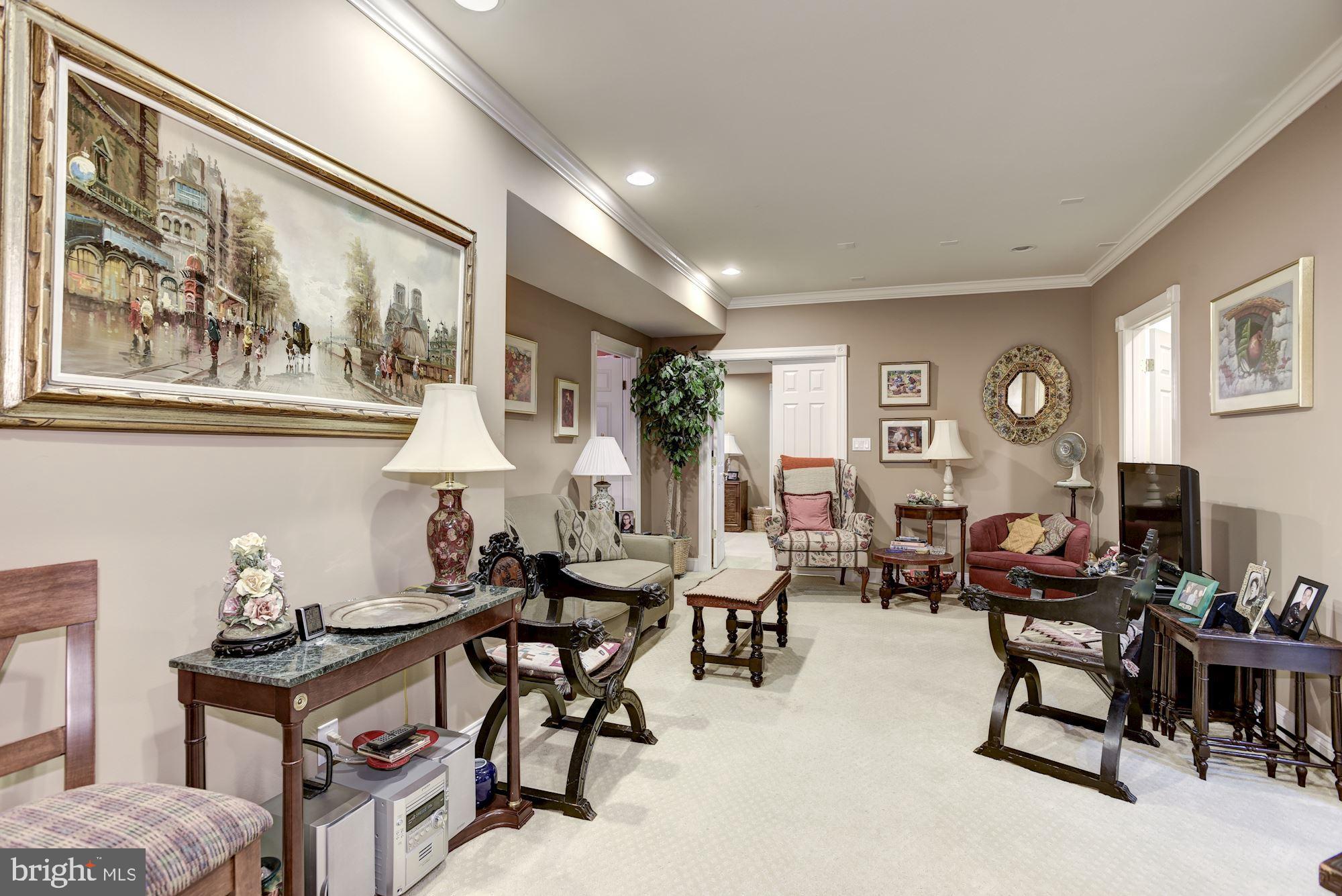 20077 Inverness Square Ashburn, VA 20147 - Photo 20 of 29 Lower Level Living Area