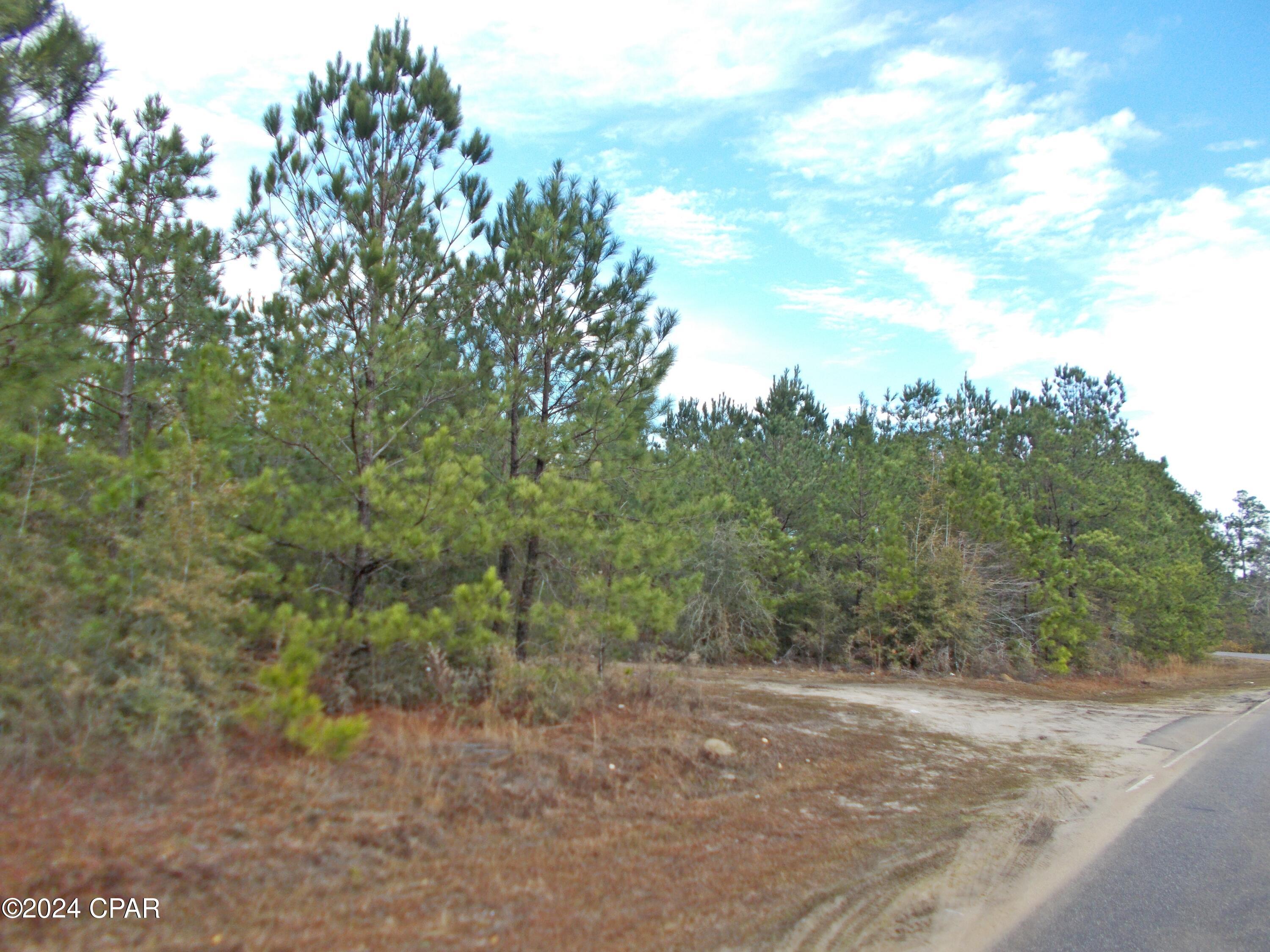 2429 Bridge Creek Road Marianna, FL 32448 - Photo 1 of 7