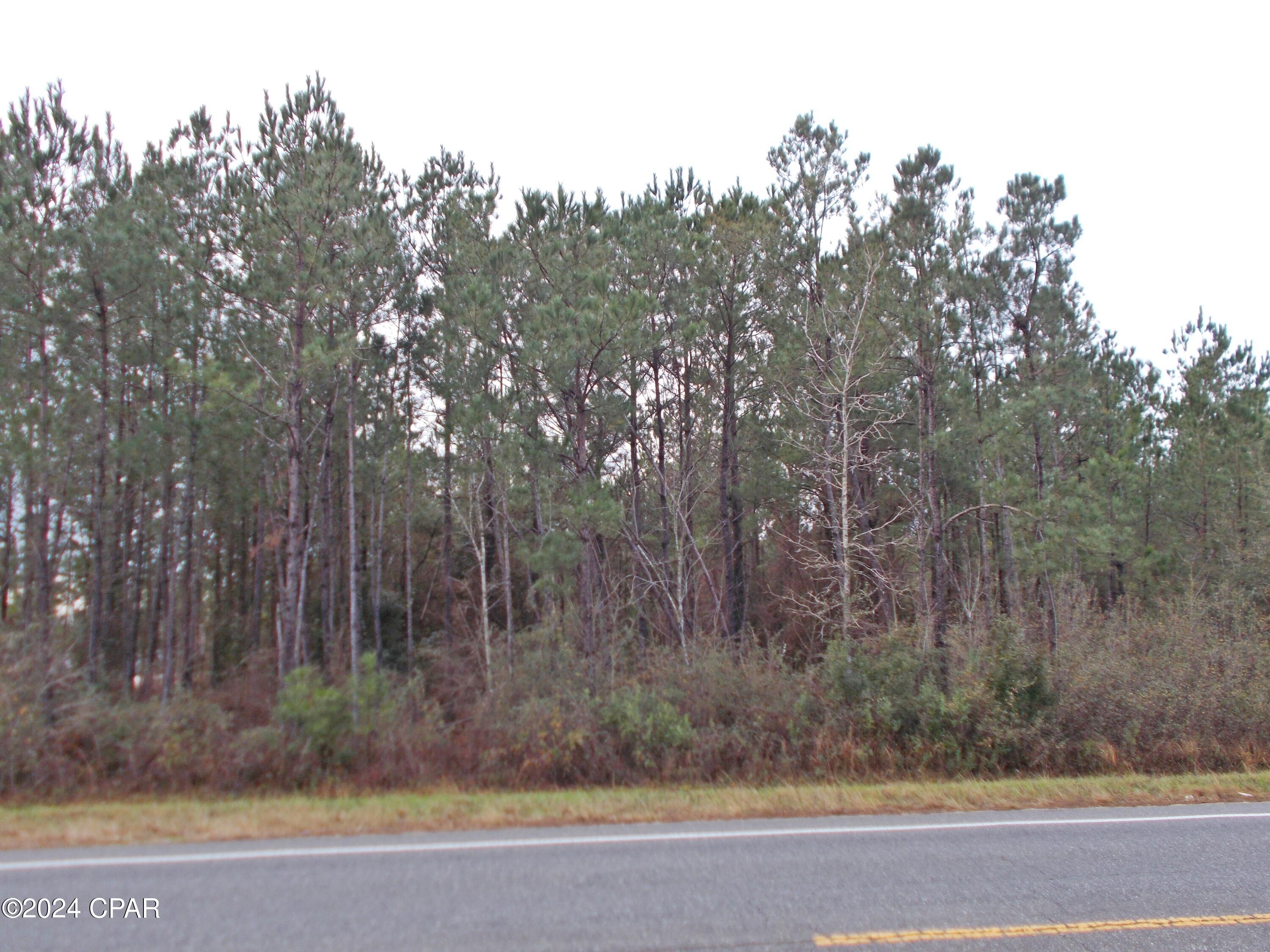 2429 Bridge Creek Road Marianna, FL 32448 - Photo 2 of 7