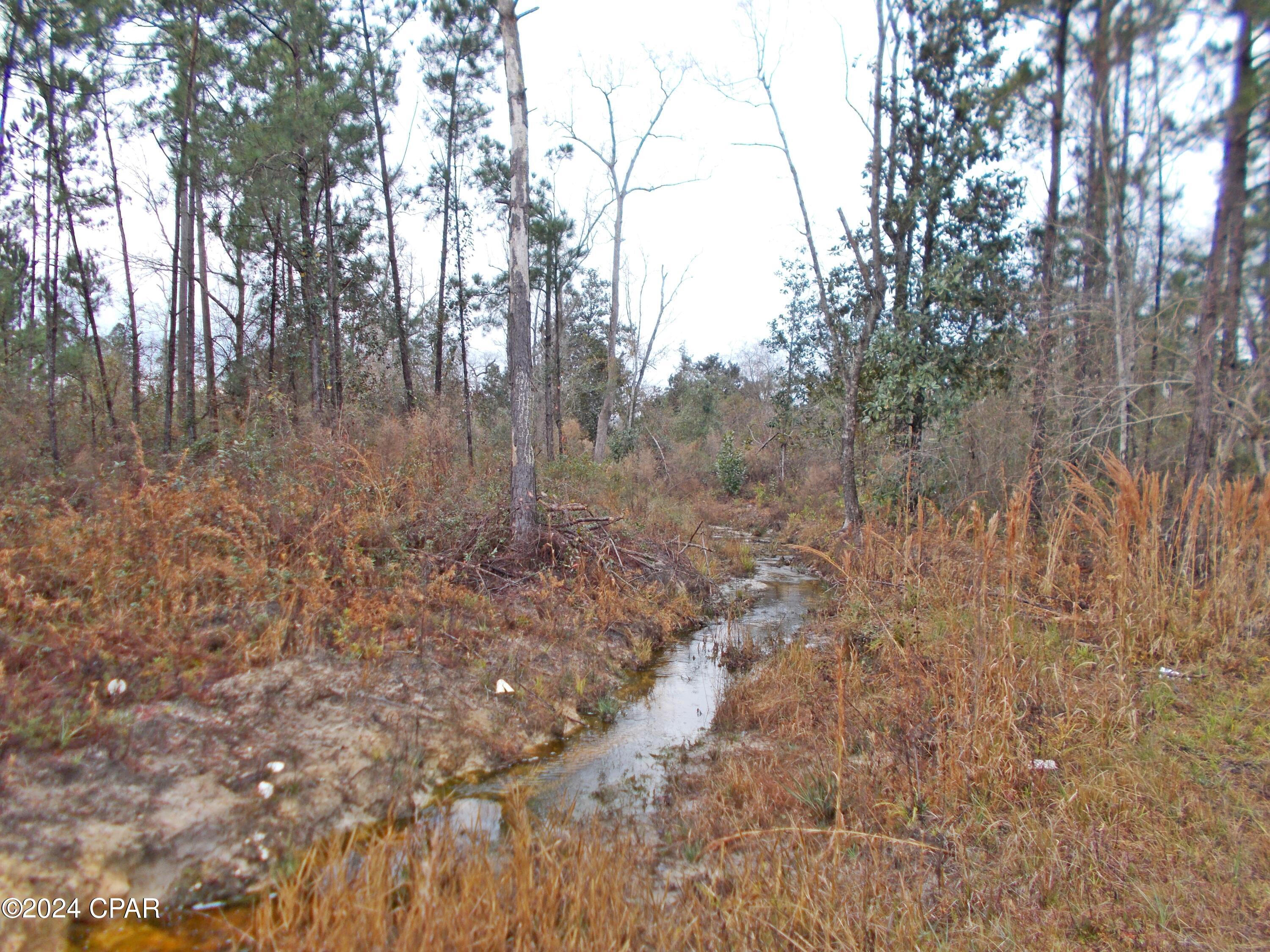 2429 Bridge Creek Road Marianna, FL 32448 - Photo 3 of 7