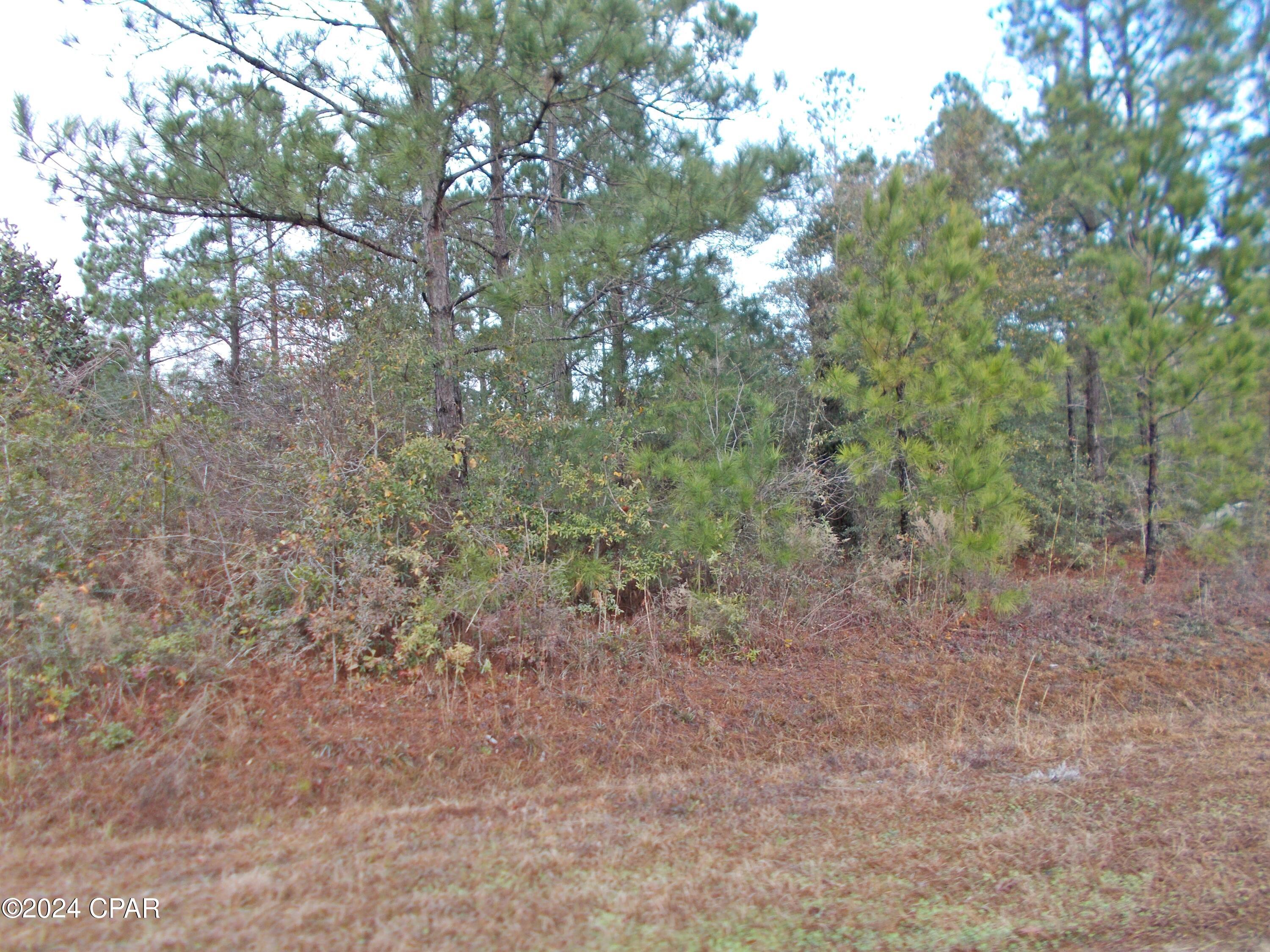 2429 Bridge Creek Road Marianna, FL 32448 - Photo 4 of 7