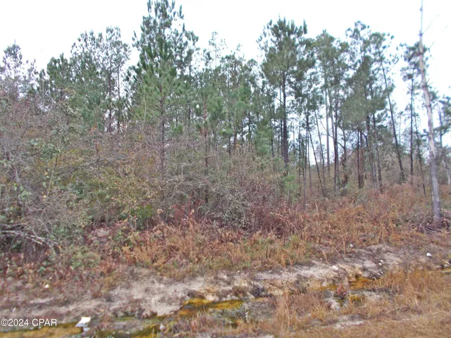 $71,000 | 2429 Bridge Creek Road, Marianna, FL 32448