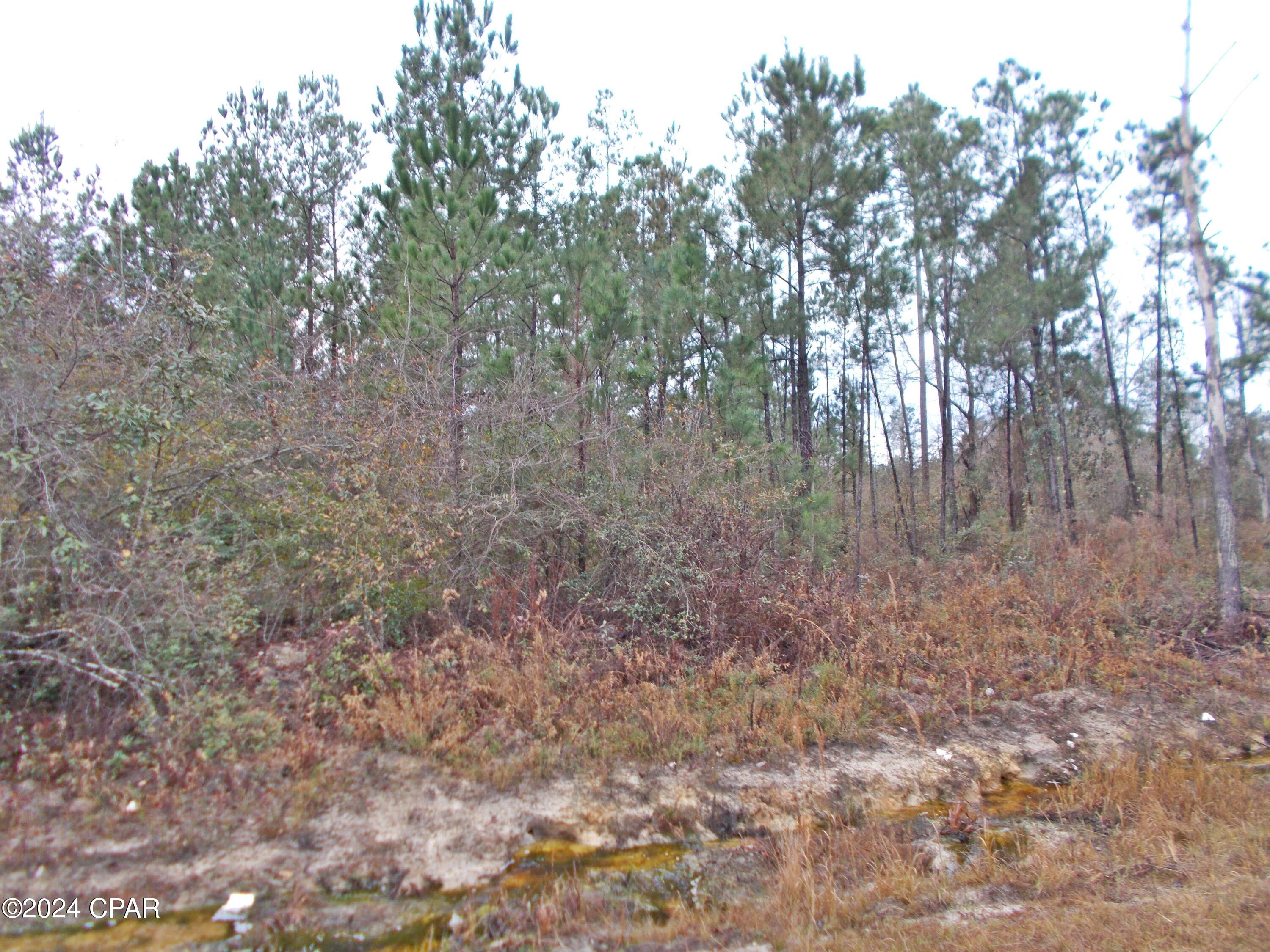 2429 Bridge Creek Road Marianna, FL 32448 - Photo 6 of 7