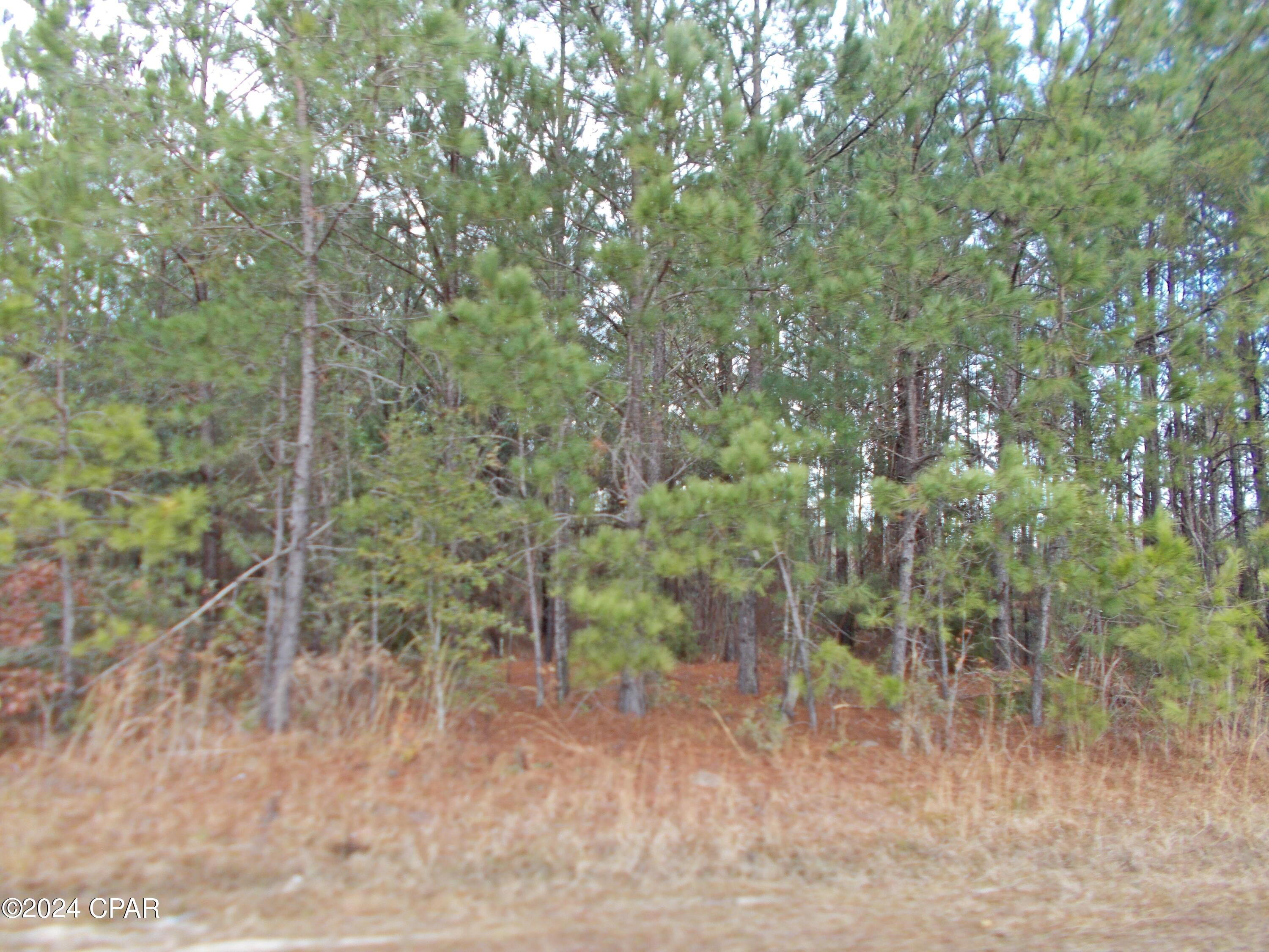 2429 Bridge Creek Road Marianna, FL 32448 - Photo 7 of 7