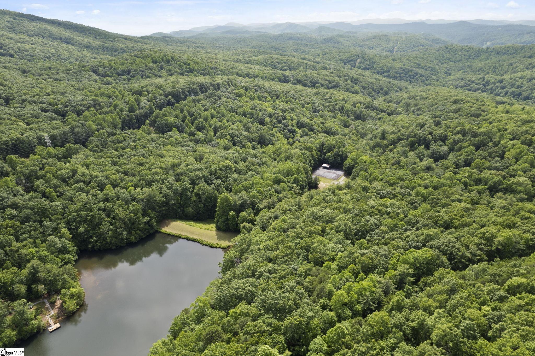 430 North Lakeview Drive Tryon, NC 28782 - Photo 11 of 17