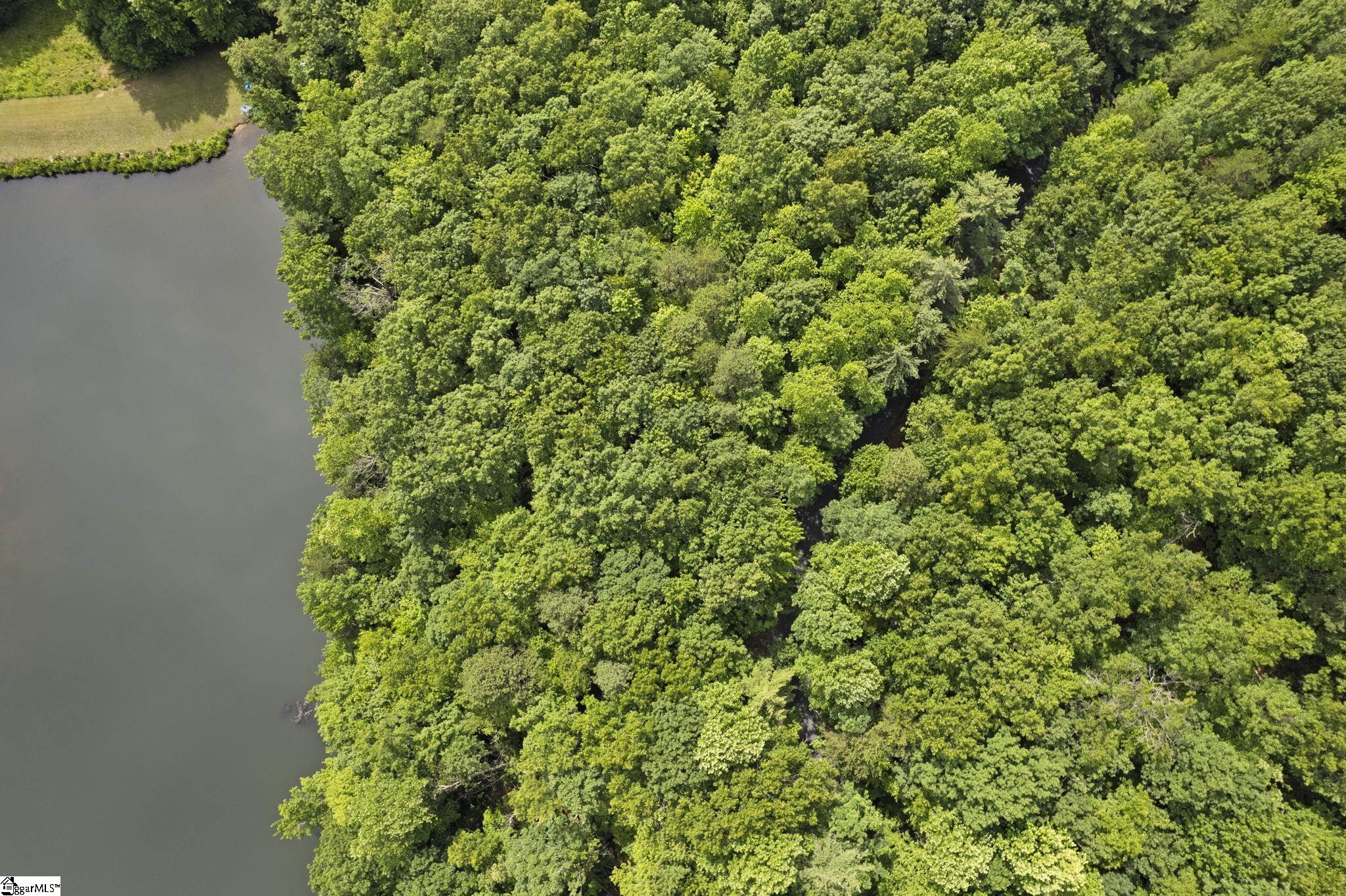 430 North Lakeview Drive Tryon, NC 28782 - Photo 13 of 17