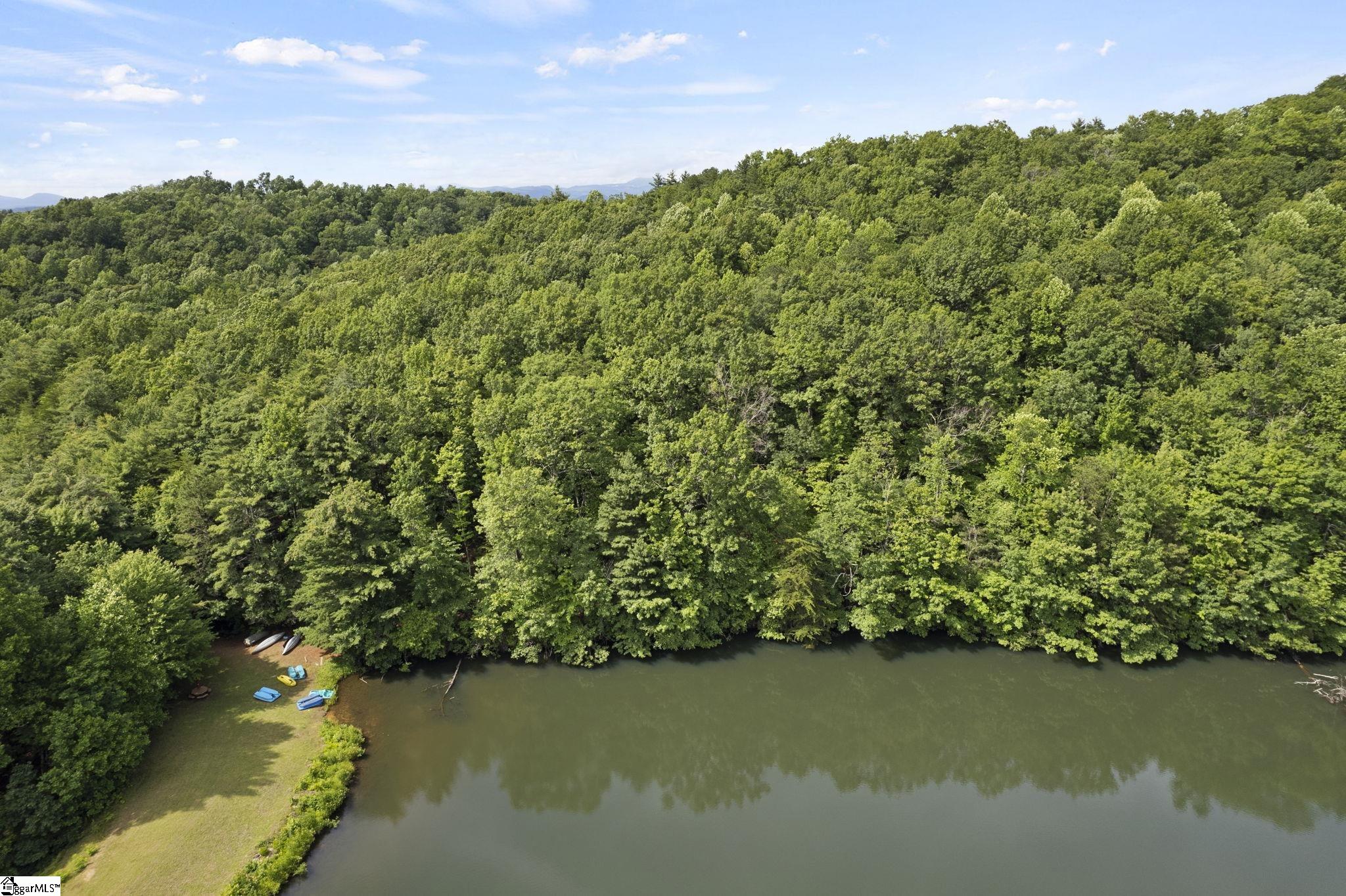 430 North Lakeview Drive Tryon, NC 28782 - Photo 14 of 17