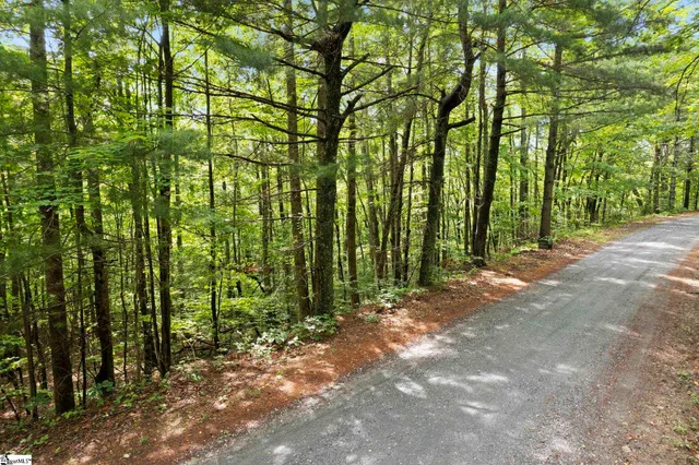 $45,000 | 430 North Lakeview Drive, Tryon, NC 28782