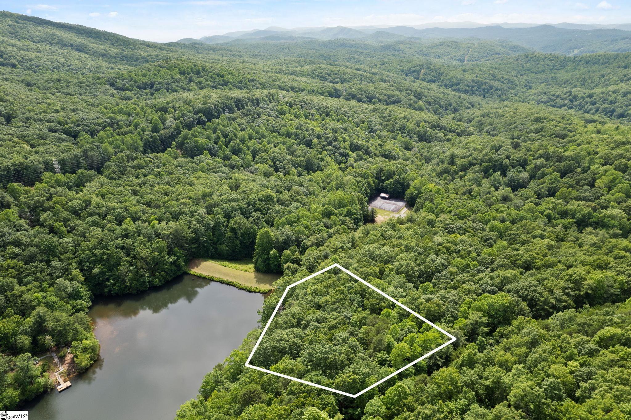 430 North Lakeview Drive Tryon, NC 28782 - Photo 2 of 17