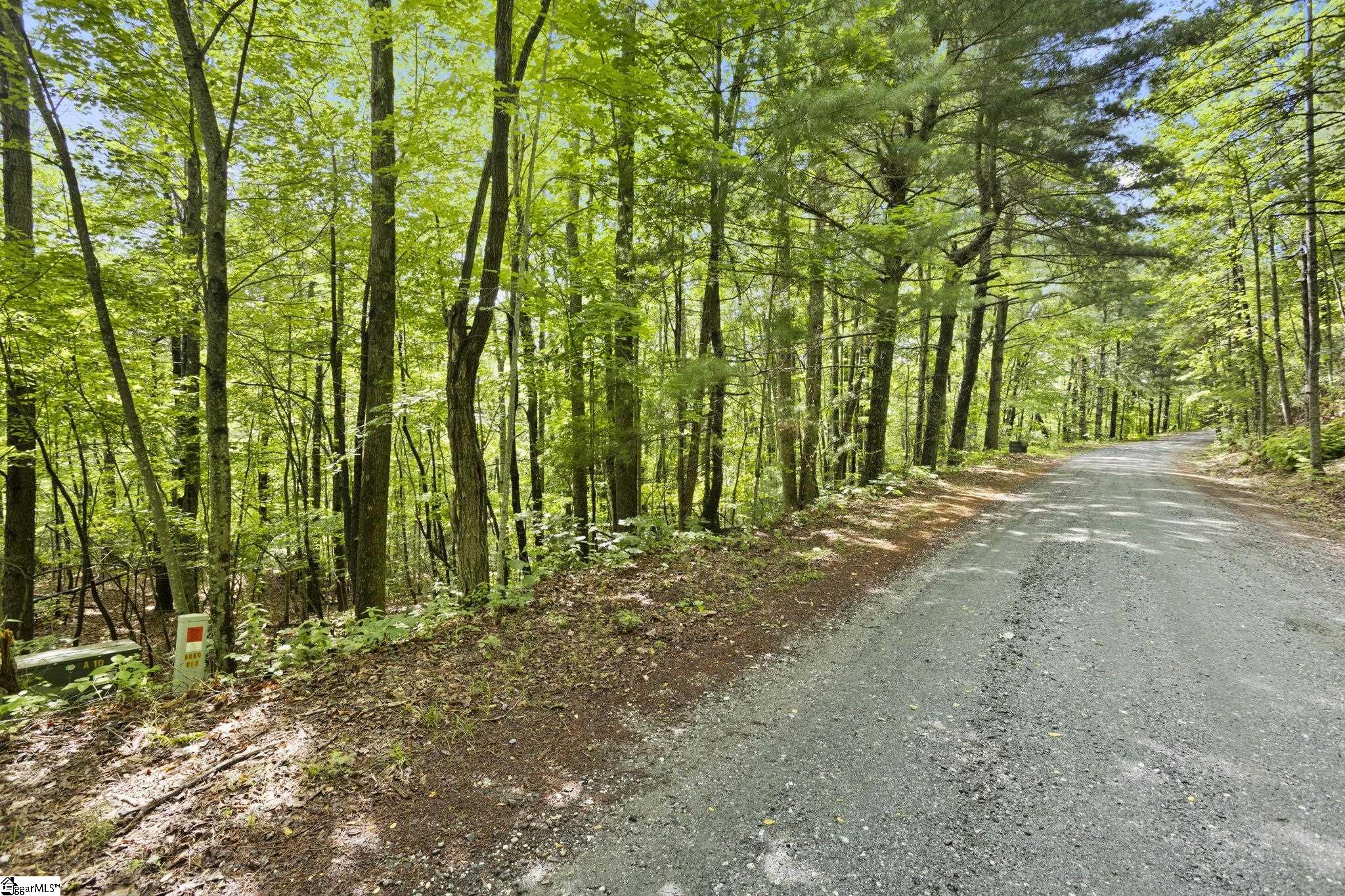 430 North Lakeview Drive Tryon, NC 28782 - Photo 3 of 17