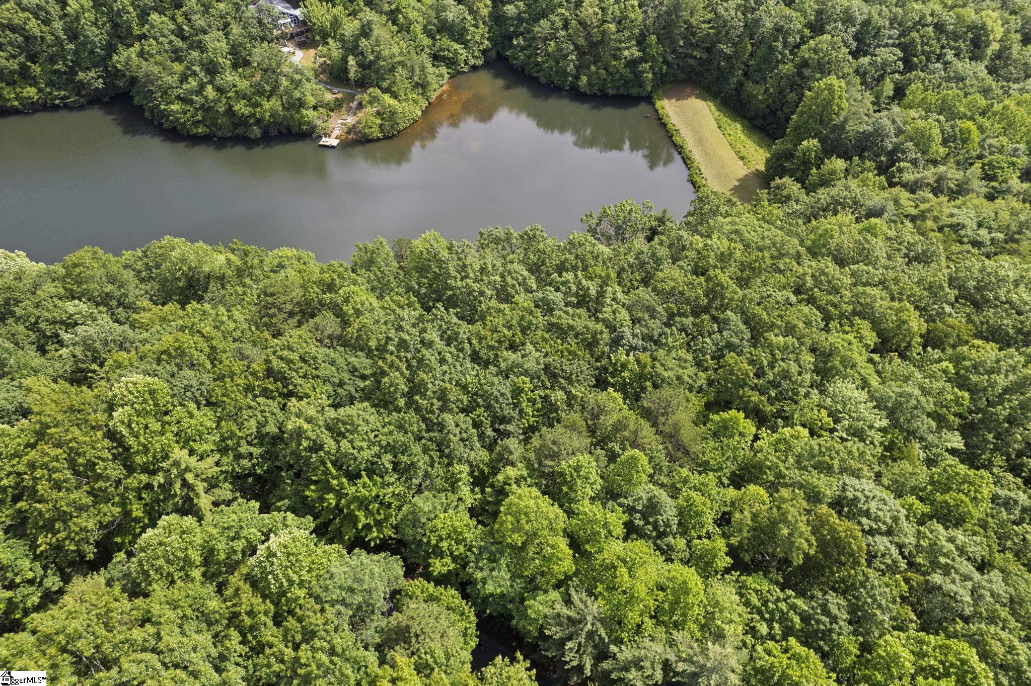 430 North Lakeview Drive Tryon, NC 28782 - Photo 4 of 17