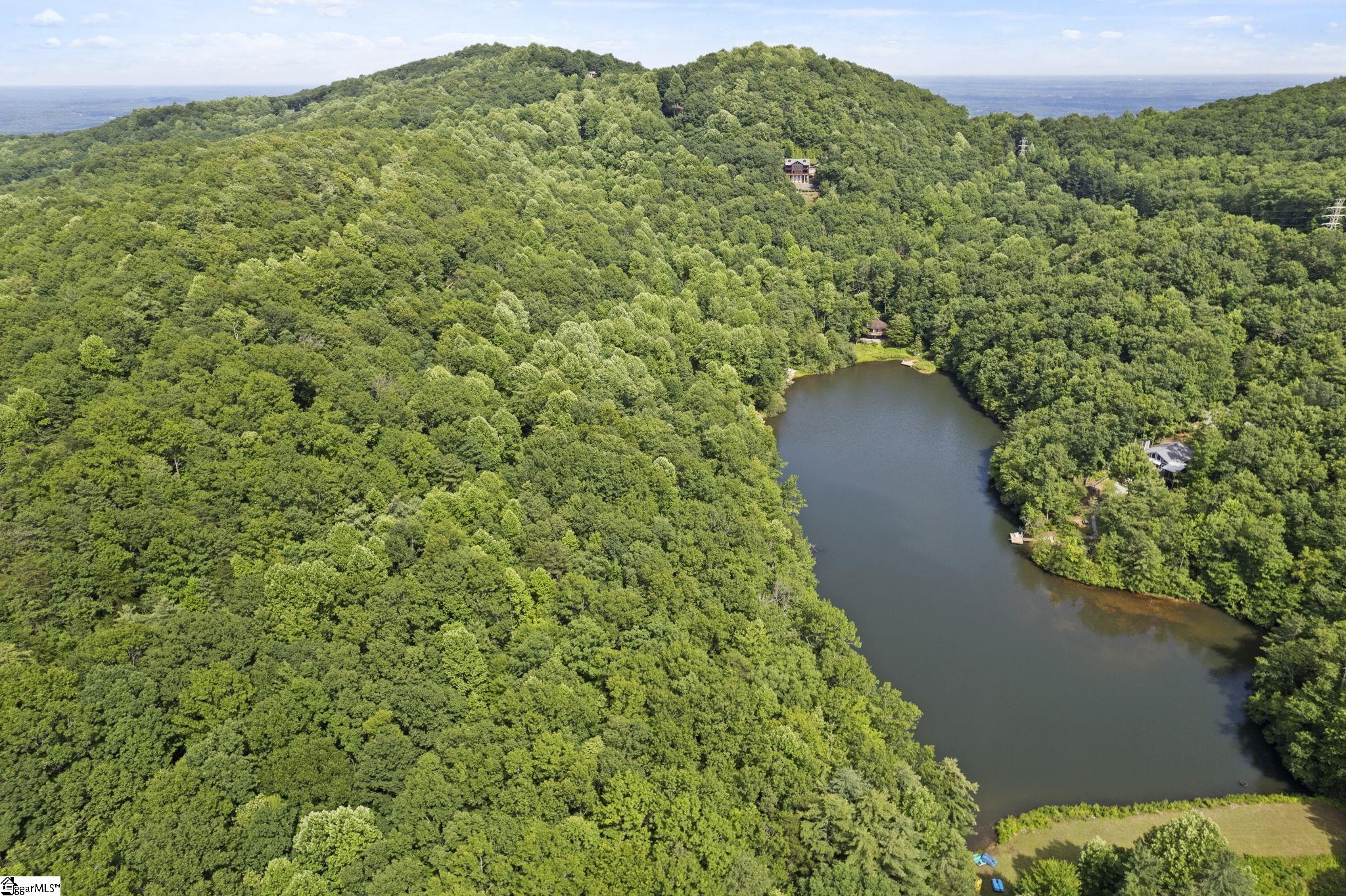 430 North Lakeview Drive Tryon, NC 28782 - Photo 5 of 17