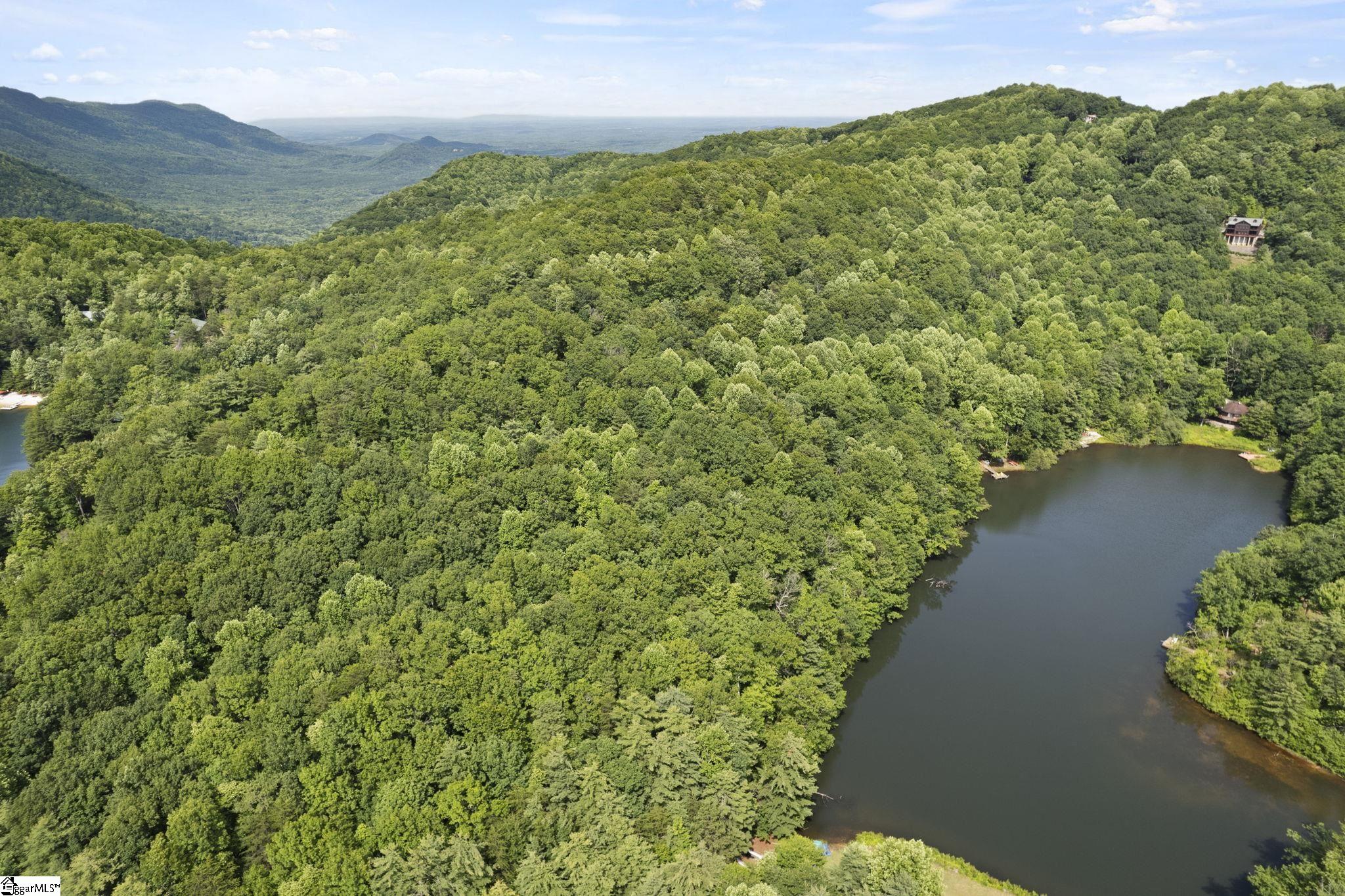 430 North Lakeview Drive Tryon, NC 28782 - Photo 6 of 17