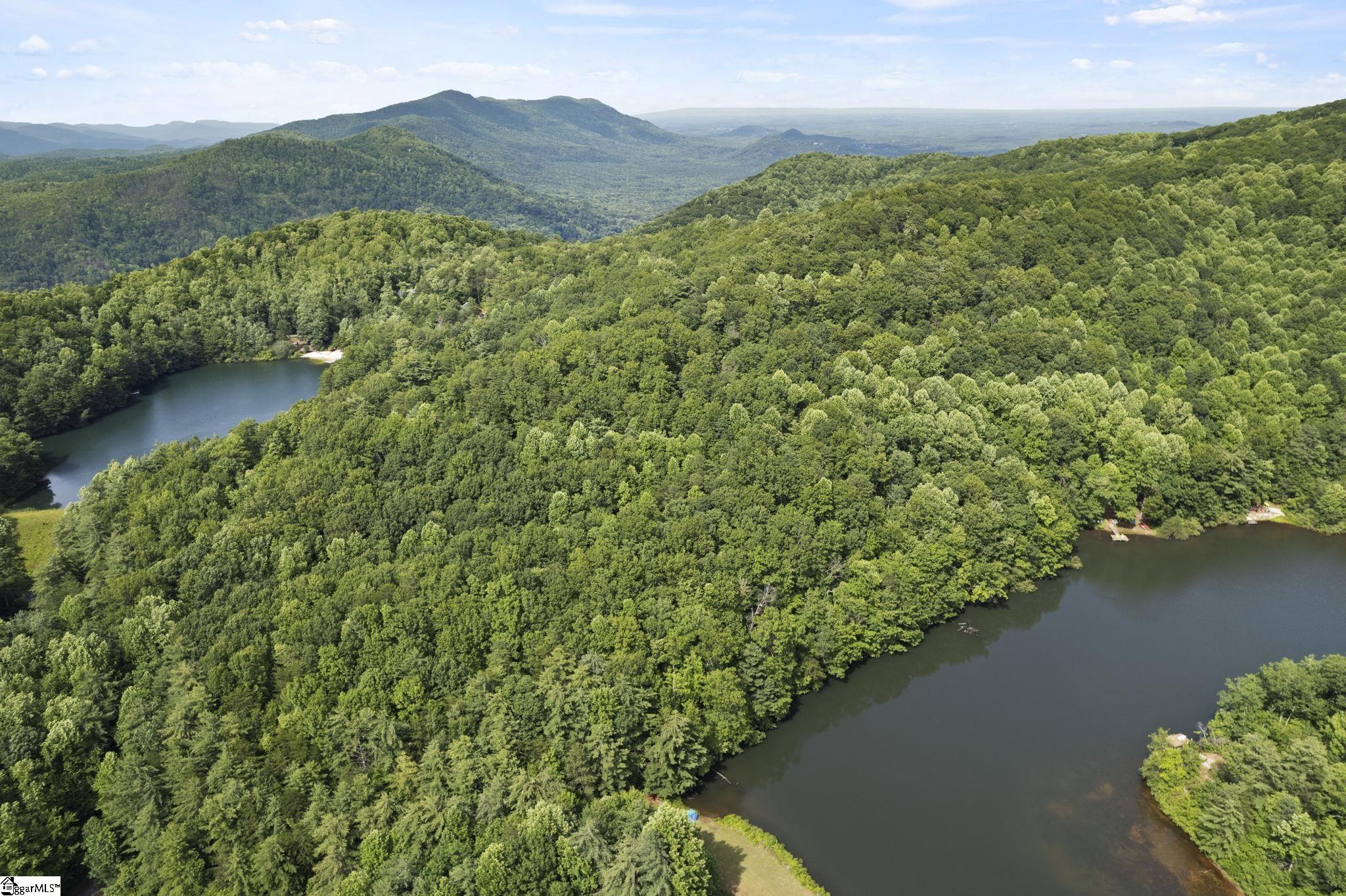 430 North Lakeview Drive Tryon, NC 28782 - Photo 7 of 17