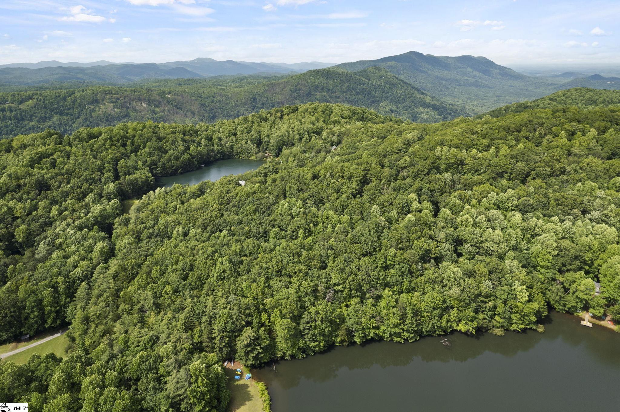 430 North Lakeview Drive Tryon, NC 28782 - Photo 8 of 17