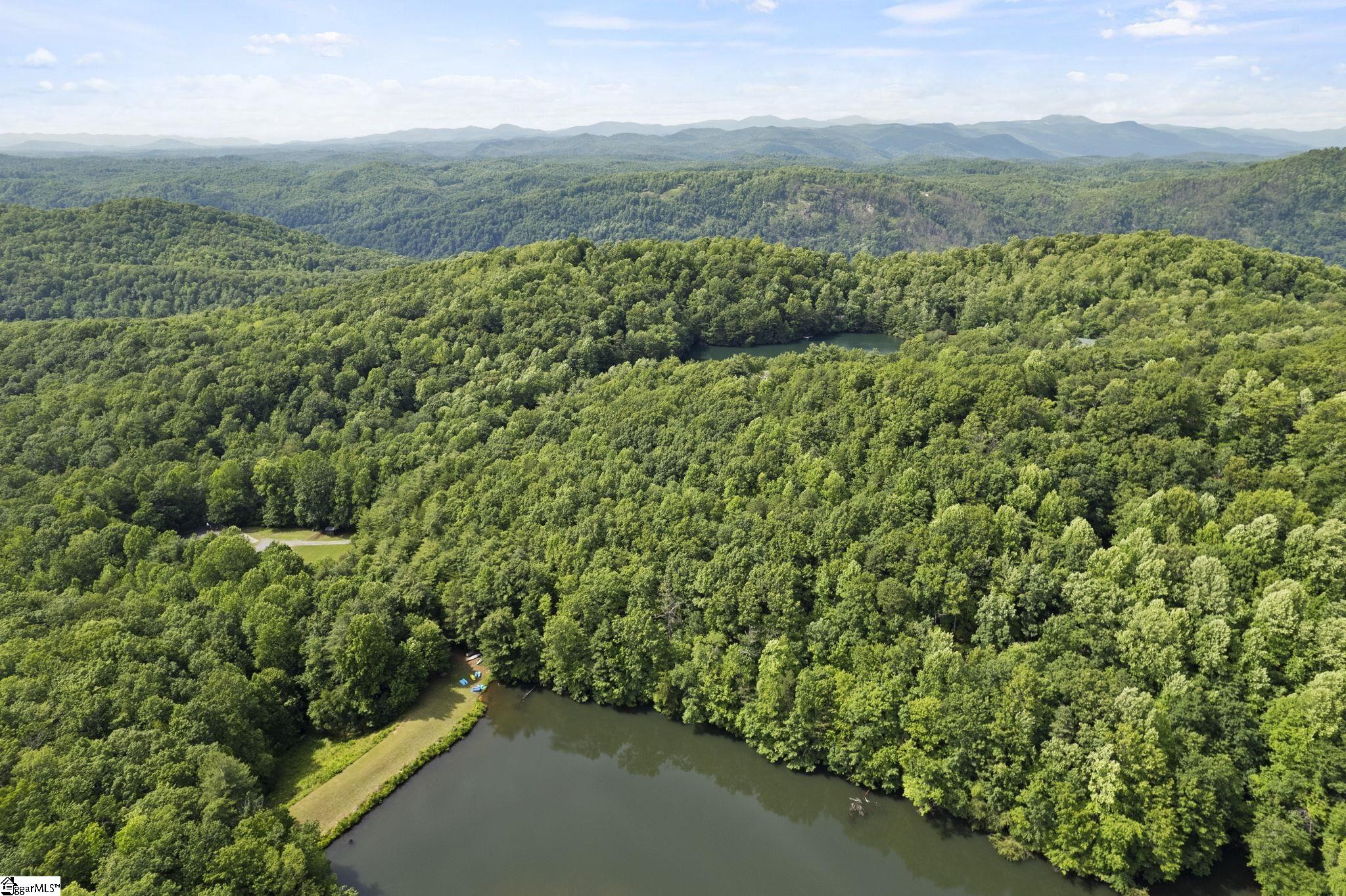 430 North Lakeview Drive Tryon, NC 28782 - Photo 9 of 17