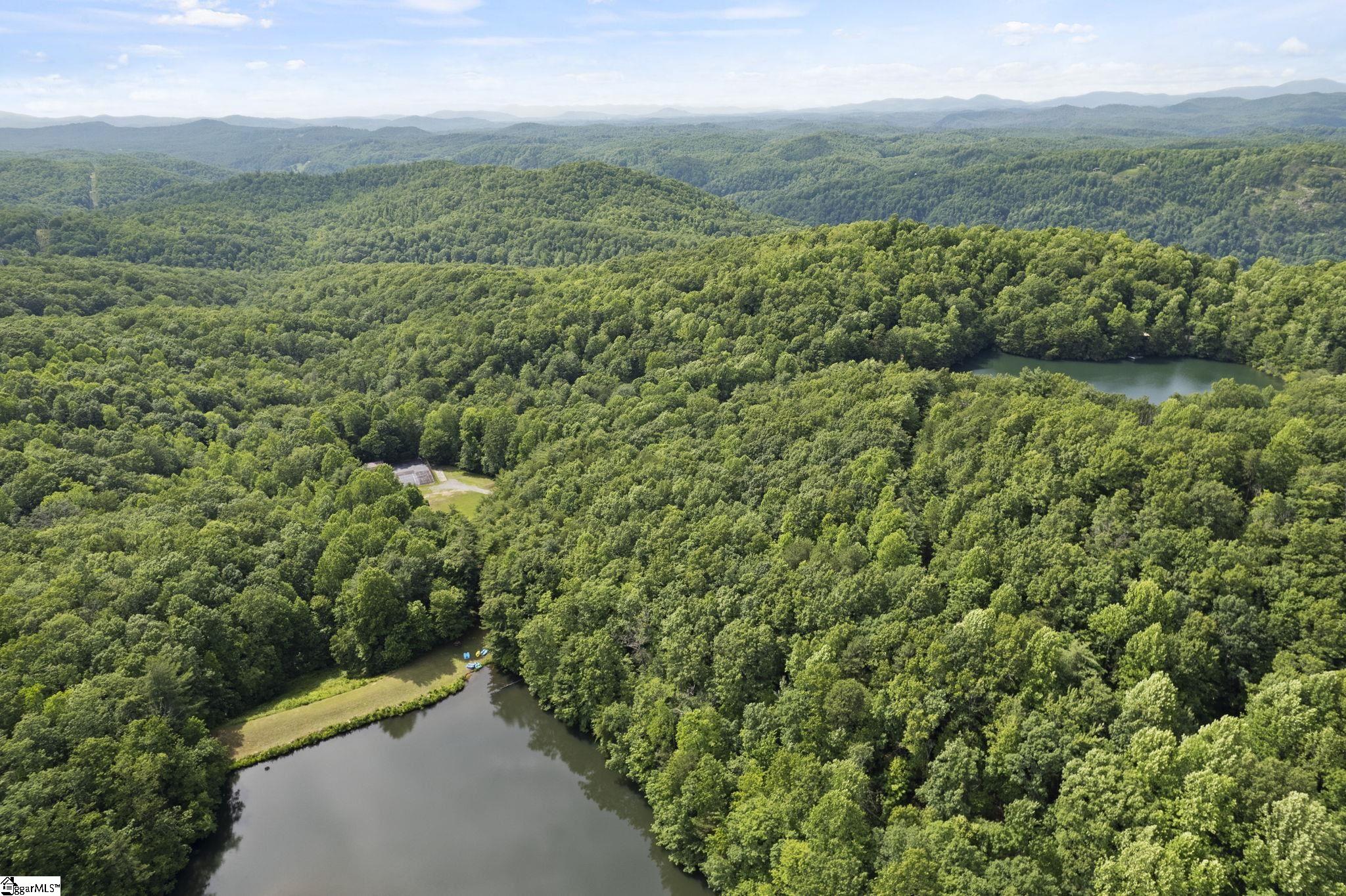 430 North Lakeview Drive Tryon, NC 28782 - Photo 10 of 17