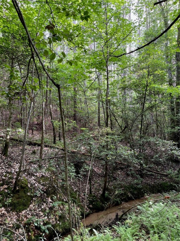1 Dalton Road Marietta, SC 29661 - Photo 9 of 11