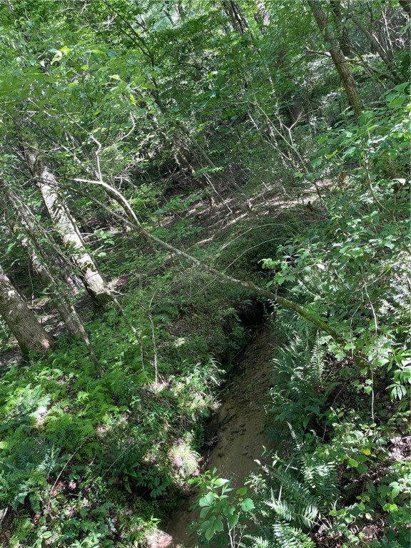 1 Dalton Road Marietta, SC 29661 - Photo 10 of 11