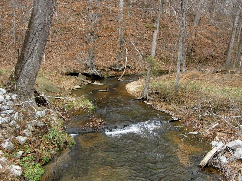 235 Slippery Road Hohenwald, TN 38462 - Photo 2 of 13