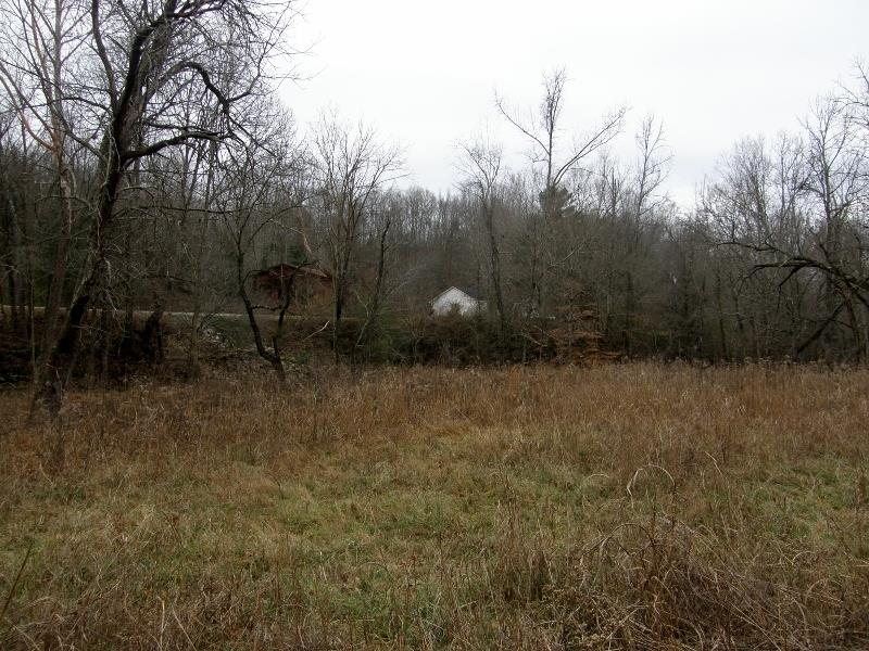 235 Slippery Road Hohenwald, TN 38462 - Photo 12 of 13 a view of a outdoor space