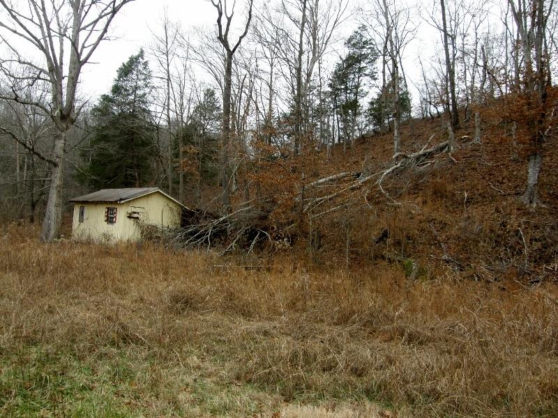 235 Slippery Road Hohenwald, TN 38462 - Photo 13 of 13 a view of a yard in front of a house